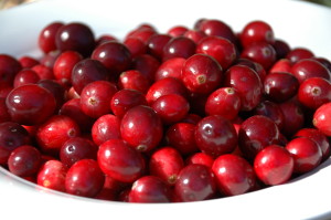 cranberries  7-6-2015